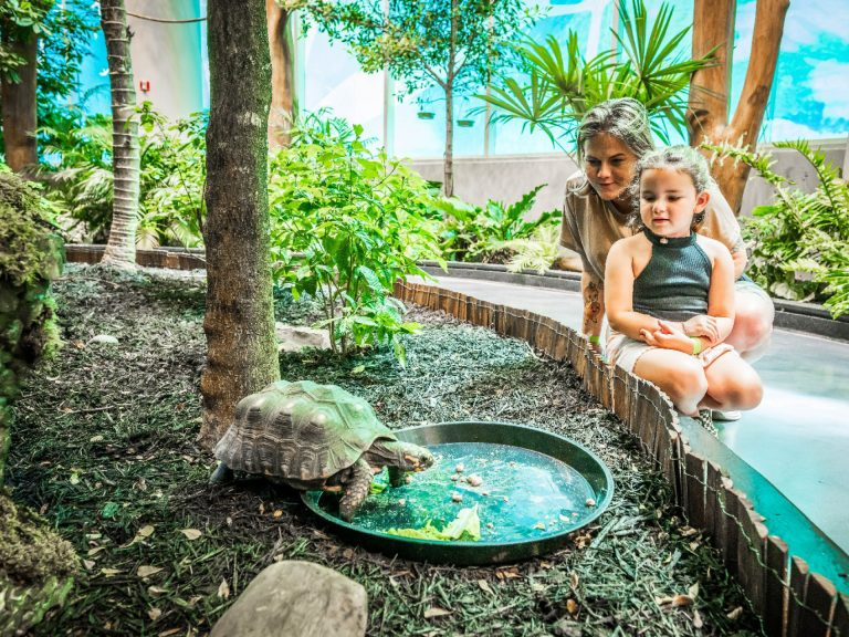Orlando Science Center LIFE - Indoor environment with woman and child observing a large tortoise